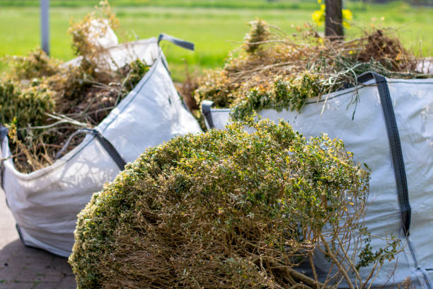 Best Furniture Removal Near Me  in Tatamy, PA